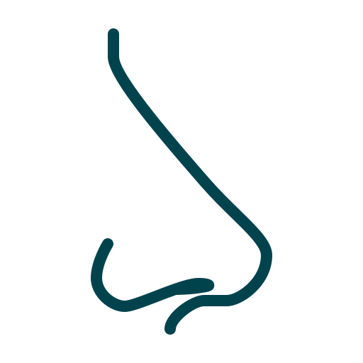 Rhinoplasty